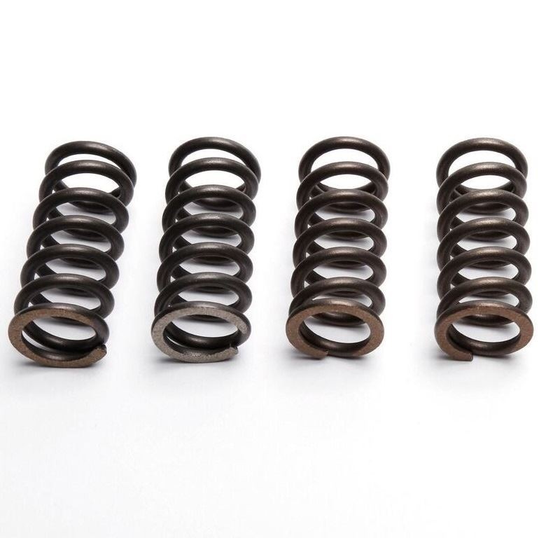 EBC Clutch Spring Set (4 PCS) - CSK115