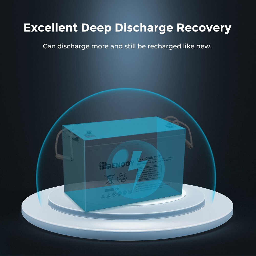 Renogy Deep Cycle AGM Battery Rechargeable 12V 100Ah/200Ah For RV Solar Marine