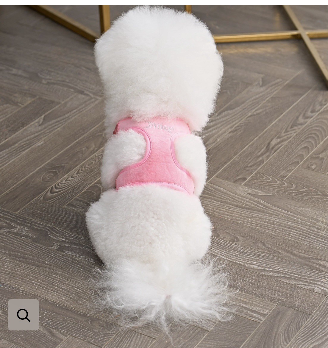 Juicy Couture Pink Rhinestone Crown Dog Harness & Leash Set XS - NEW