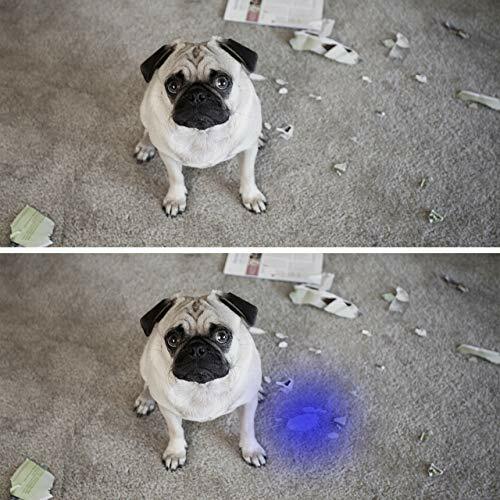 Pet Urine & Invisible Ink Detector Handheld LED UV Flashlight