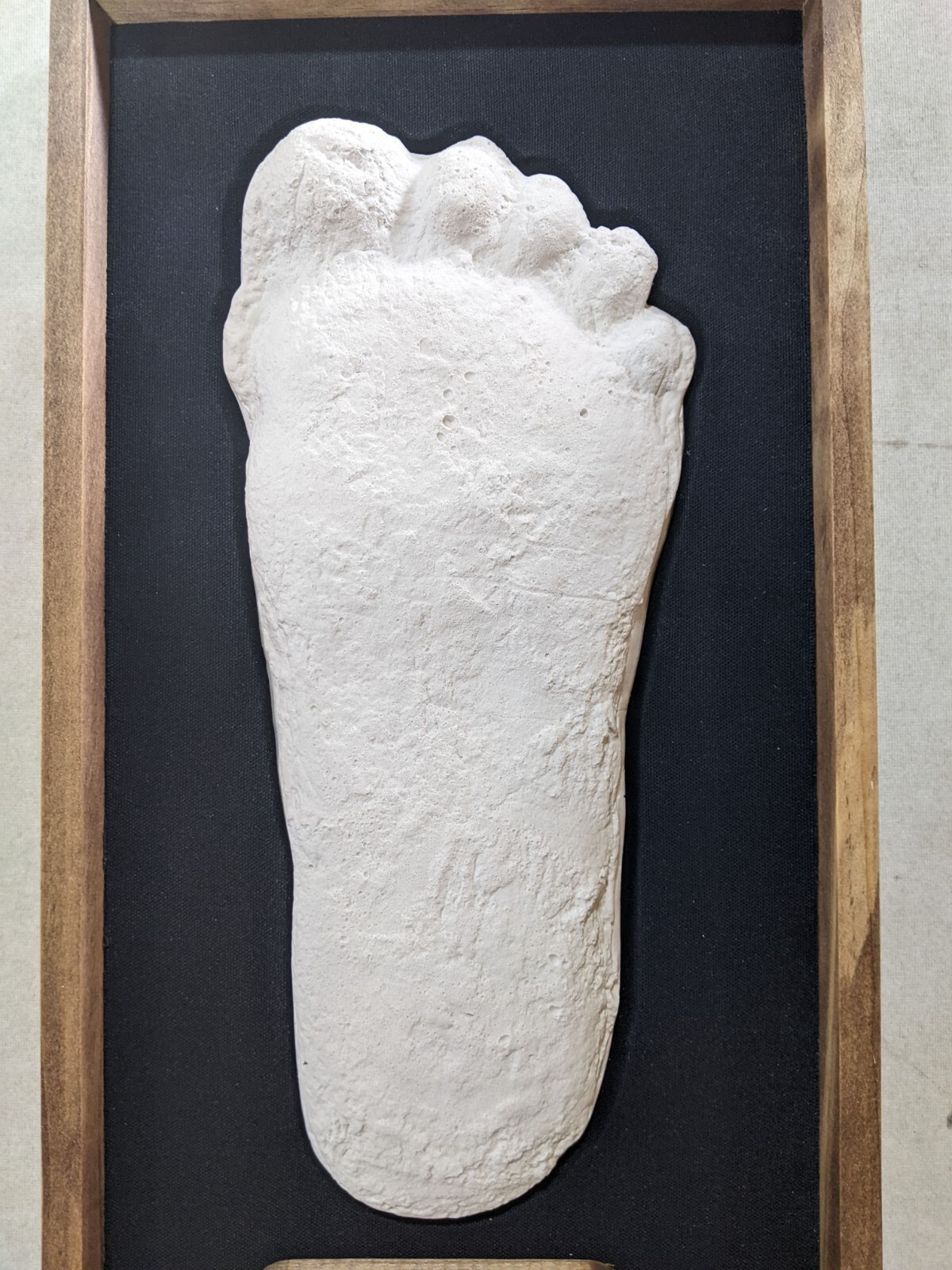 Bigfoot Patterson Patty Footprint Cast Display