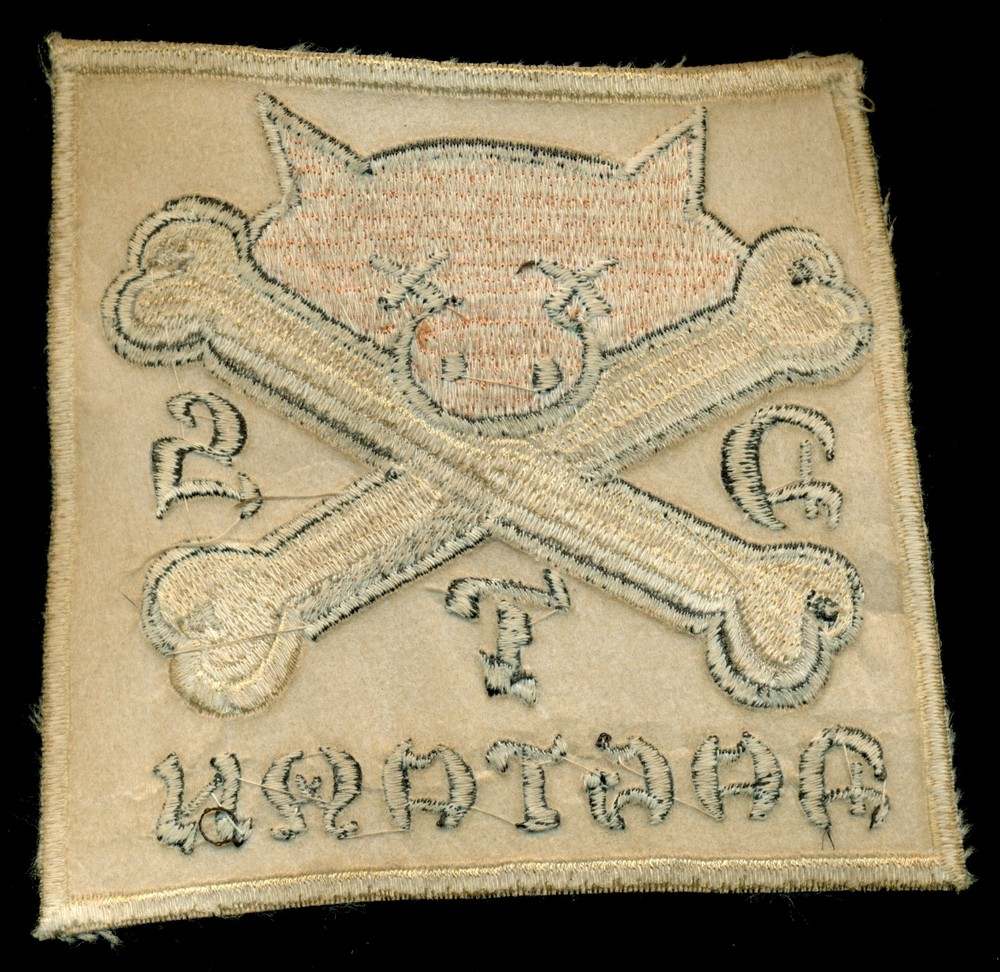 Dogtown DTS Skateboard Patch S-12