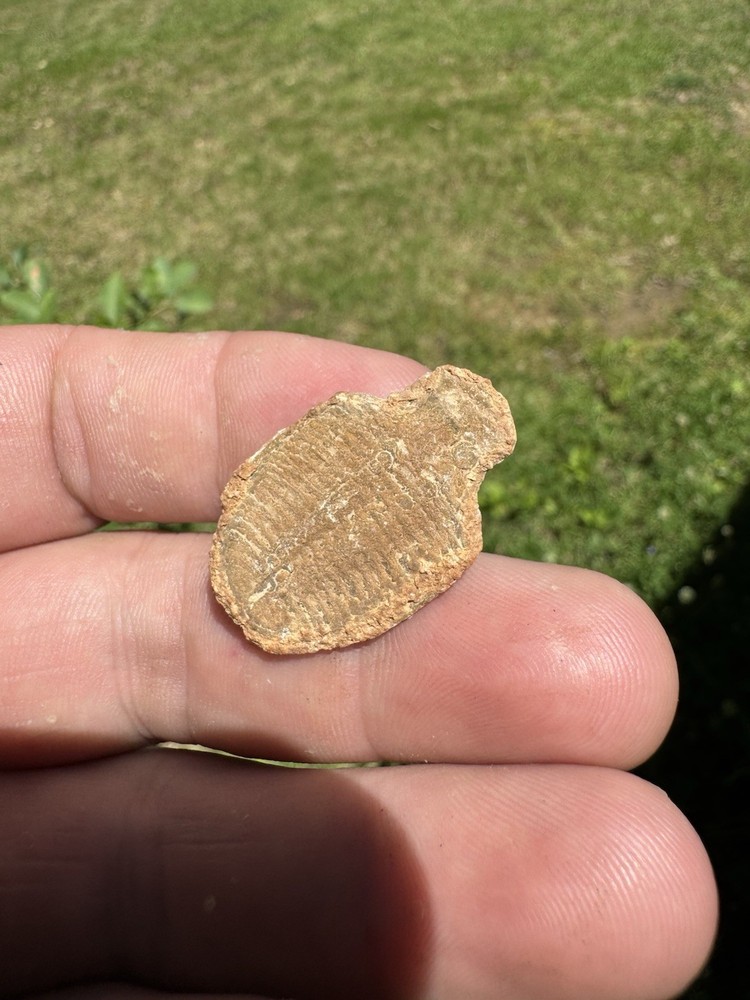 Nice Trilobite Fossil