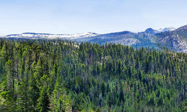 TrainJunkies High Sierra 4 Model Railroad Backdrop