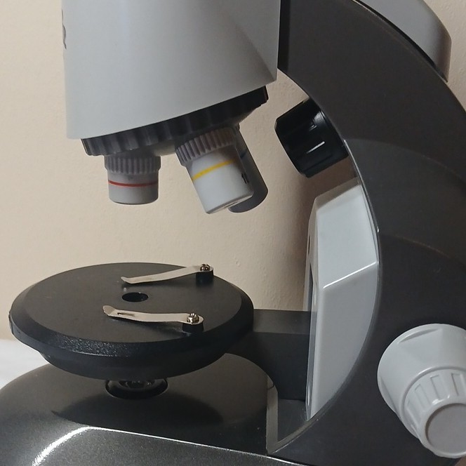 Edu-Science WF20X 40X Microscope with Prepared Slides Educational Science Set