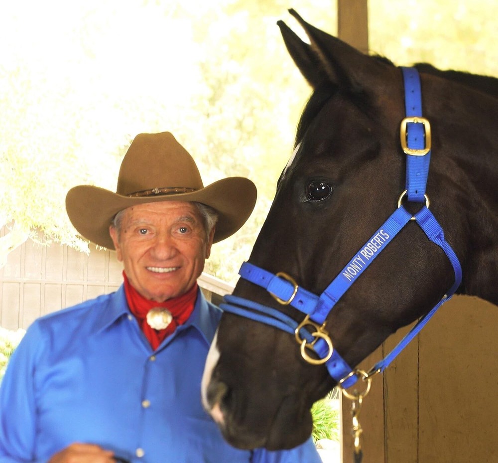 Durable Adjustable Dually Headcollar for Effective Horse Training - Large, Blue=