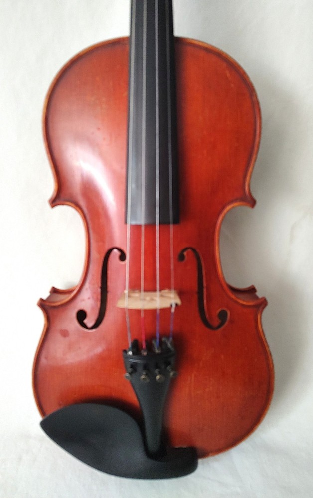 Advanced Level 4/4 Fiddle, Exceptional Tone & Sensitivity, Handmade, Ebony/Cedar