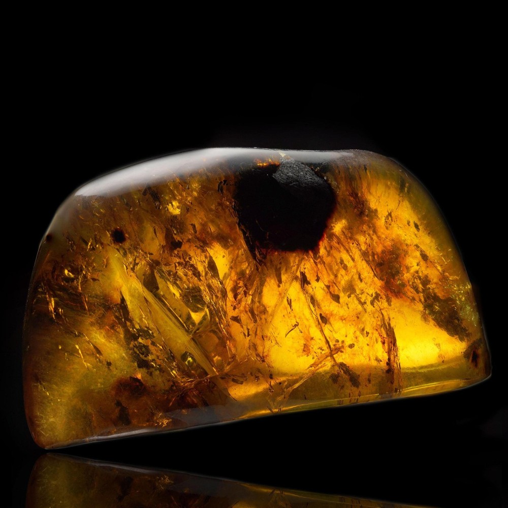 Mexican Amber – 53g