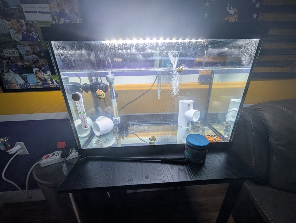 full saltwater aquarium setup and RO/DI system