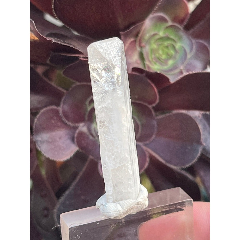 Aurora Mine Danburite Crystal Point: Raw Healing Stone, Mexico (1.7")
