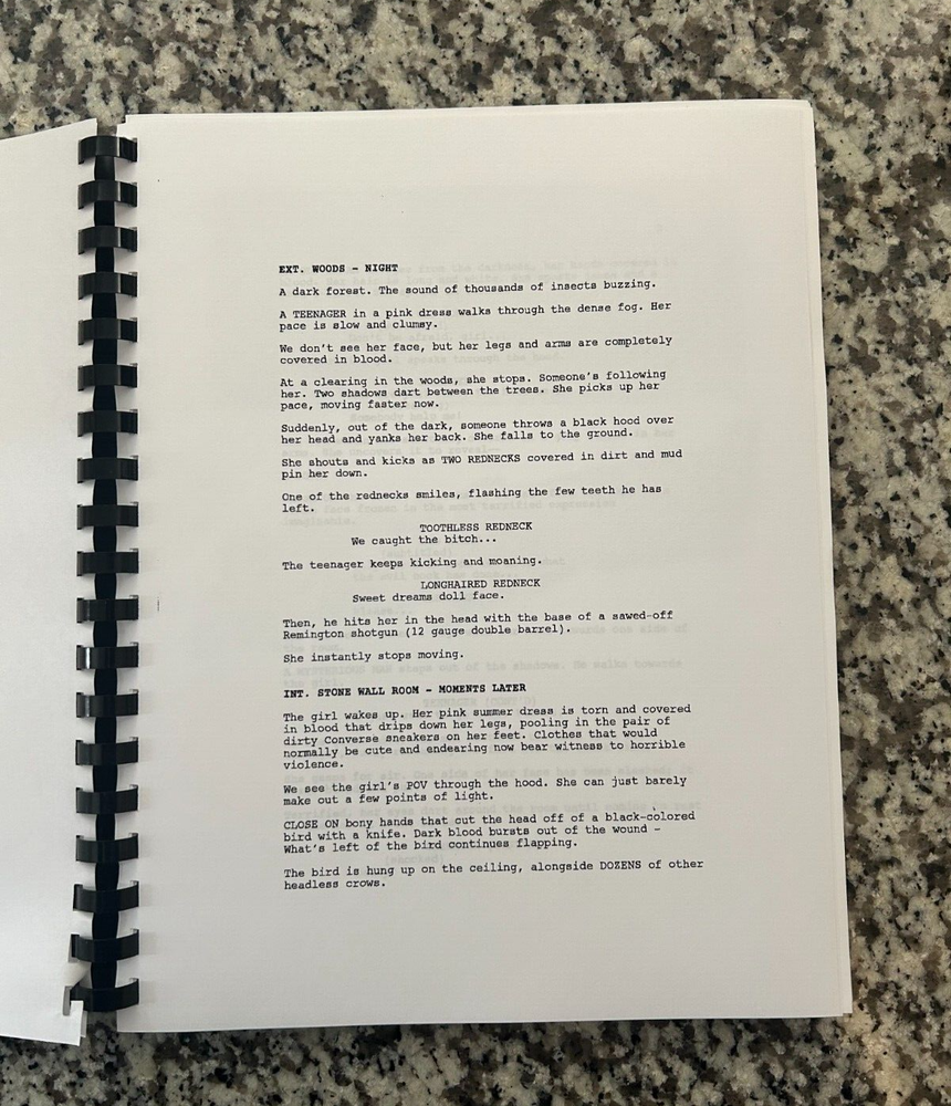 Evil Dead 2013 Horror Movie Script Reprint Full Screenplay Script