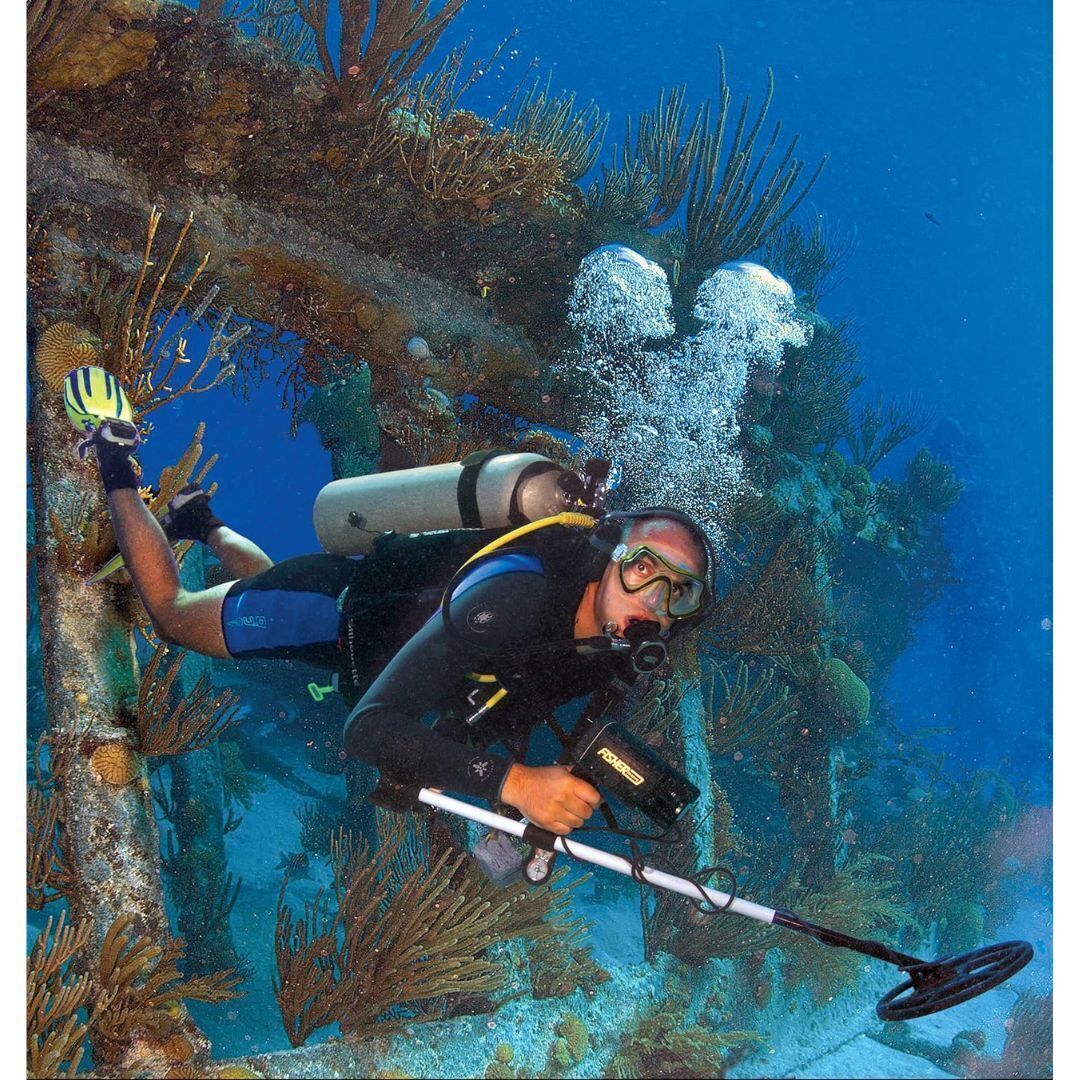 Fisher 1280X 8 Aquanaut Underwater All Purpose Black Metal Detector
