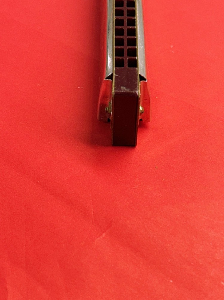 Delta Blues 32 hole Harmonica Plastic Edge
