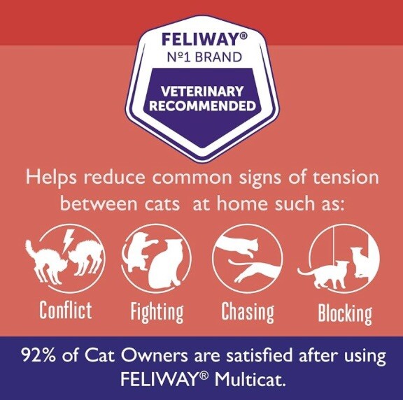 Felyway