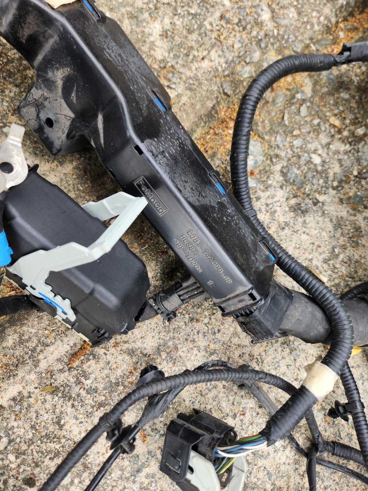 2021 - 2023 FORD MUSTANG MACH-E AWD ENGINE WIRING HARNESS OEM