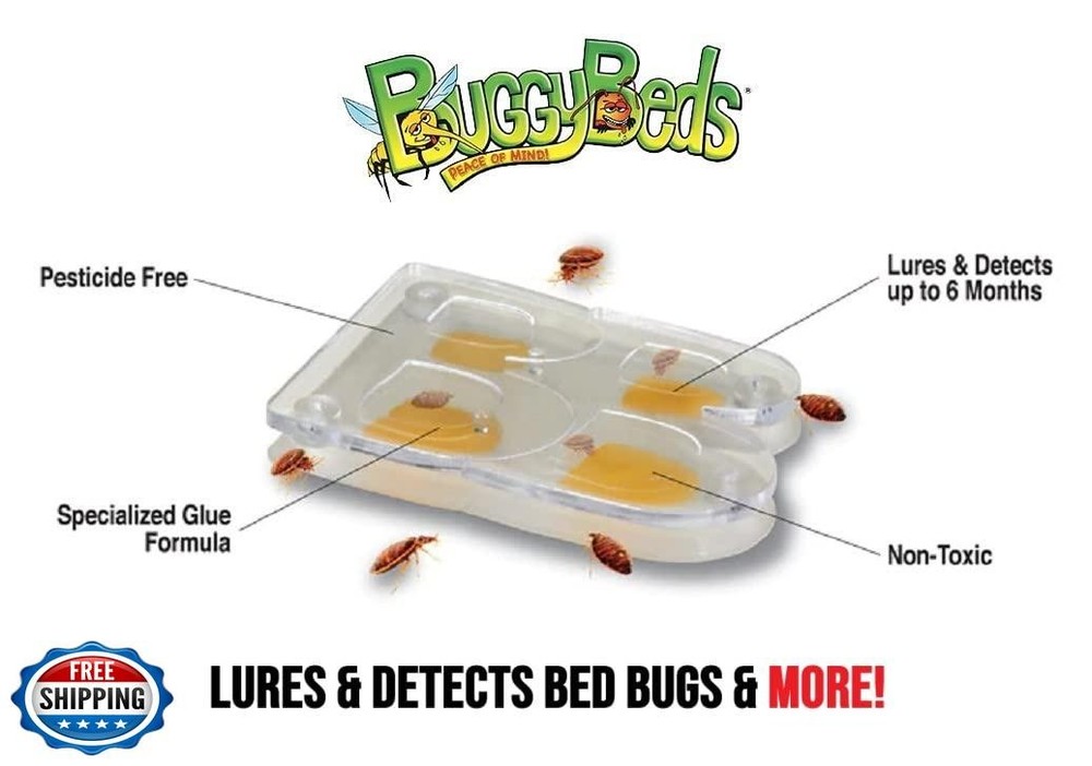 BuggyBeds® Bed Bug Glue Traps, Home, 12 Pack