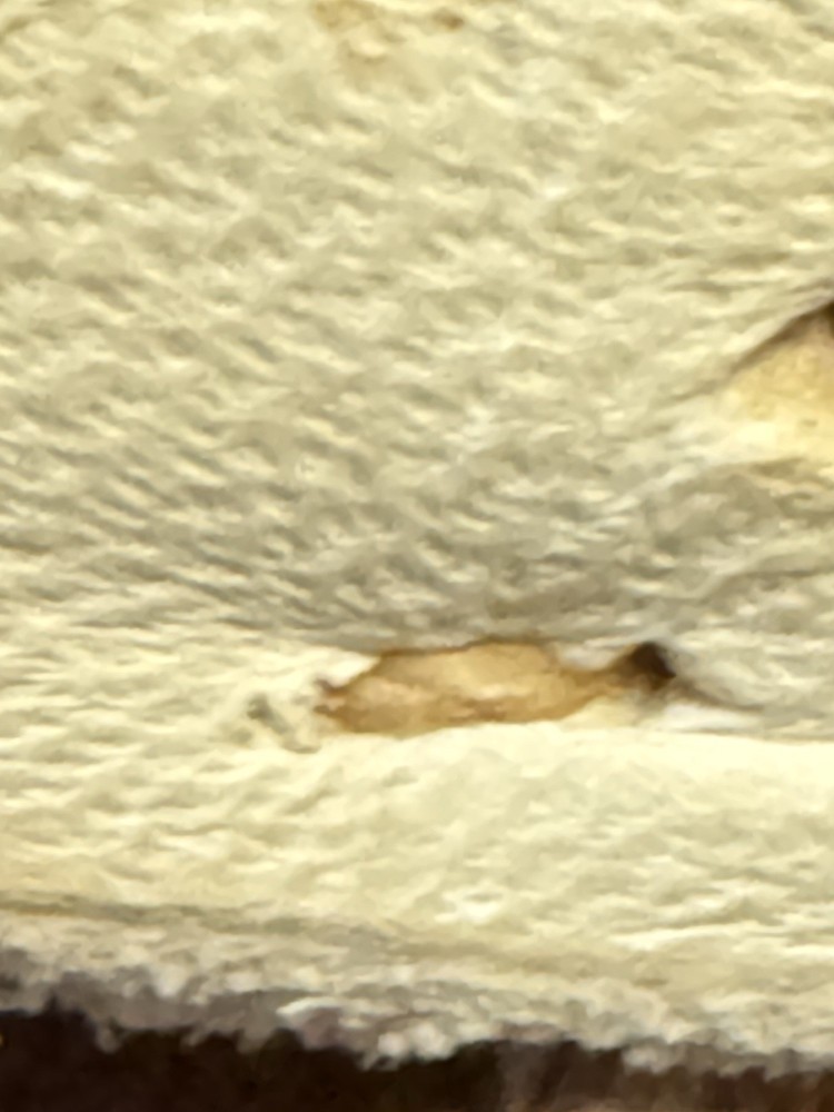 Old Native American Moccasins Navajo Apache Buckskin Hard Bottom High Top 7.5-9