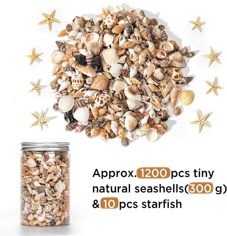 1200 PCS Natural Seashells, Tiny sea Shells & Small Starfish for Decorations, M