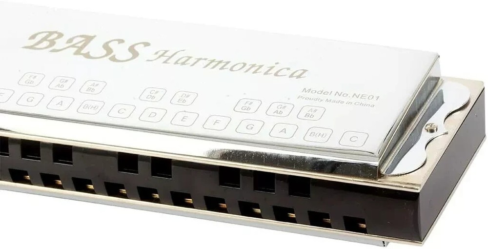 EASTTOP Bass Harmonica Ensemble Harmonica Professional Portable with Case NE01