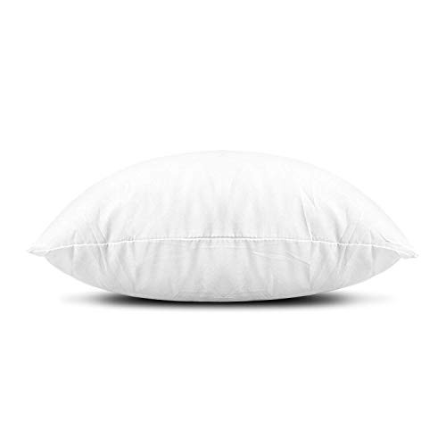 Throw Pillow Inserts, Set of 2 Lightweight Down Alternative Polyester White