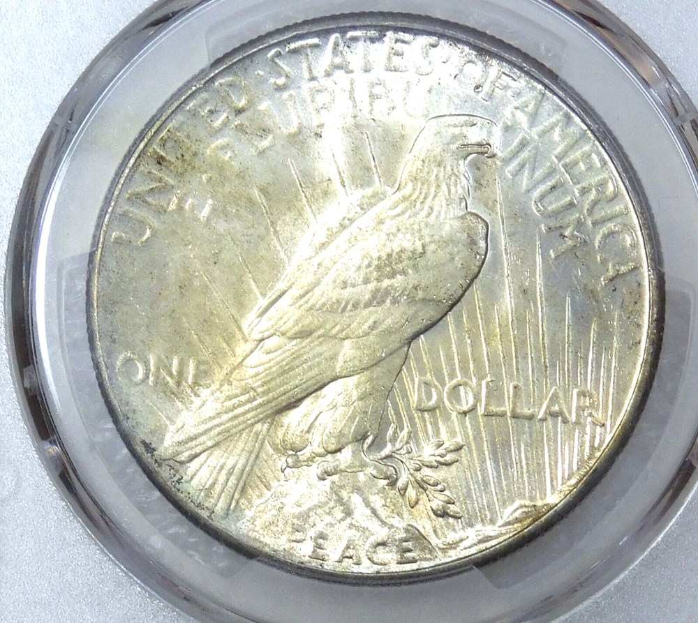 1926 Peace Silver Dollar PCGS MS63 Silver White Luster Just Graded #H114A