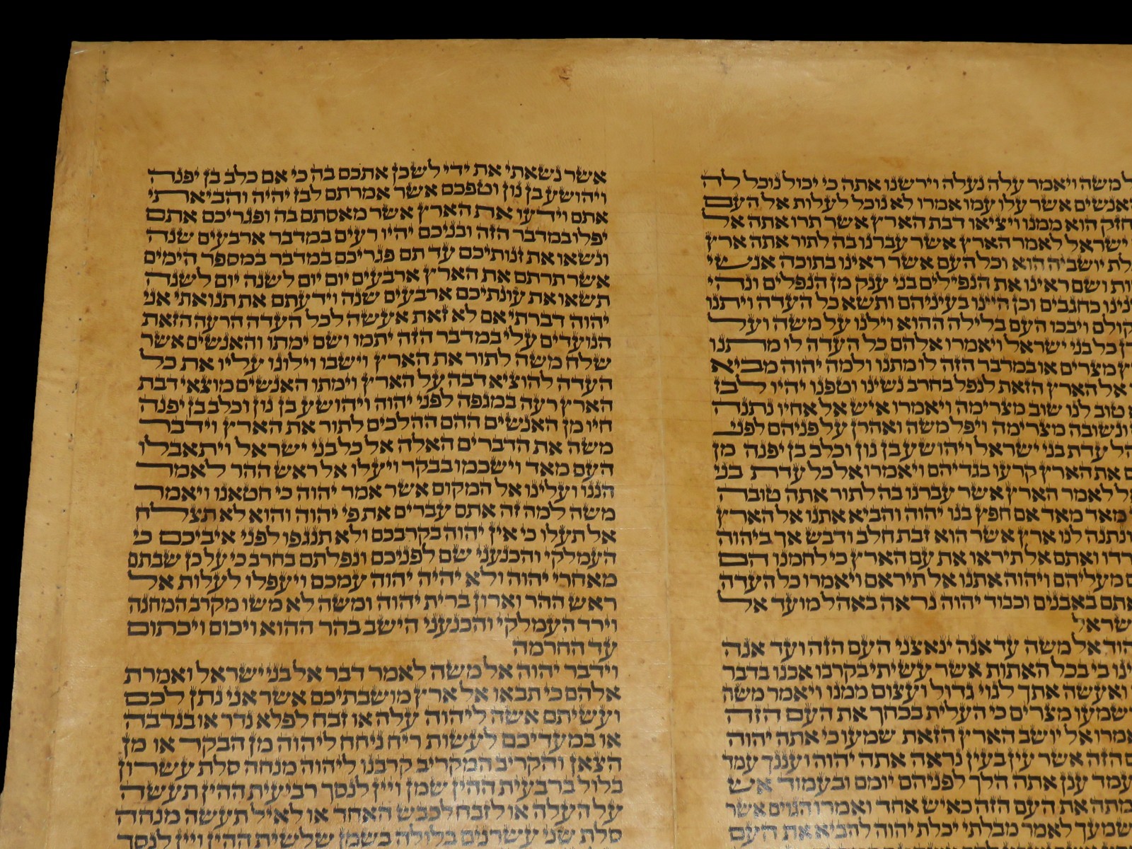 LARGE RARE TORAH BIBLE MANUSCRIPT VELLUM LEAF 150-200 YRS OLD FROM ITALY