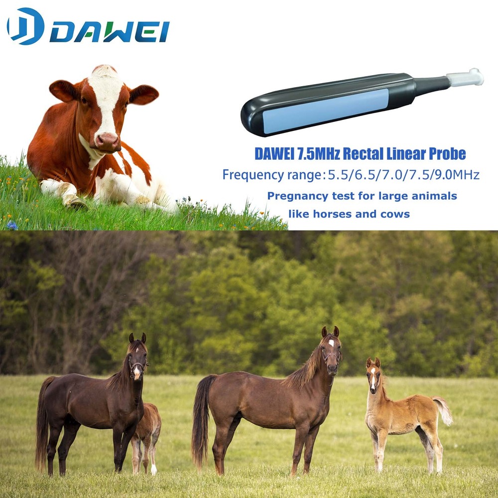 Veterinary Ultrasound Machine Handheld scanner,convex/rectal probe Pregnancy