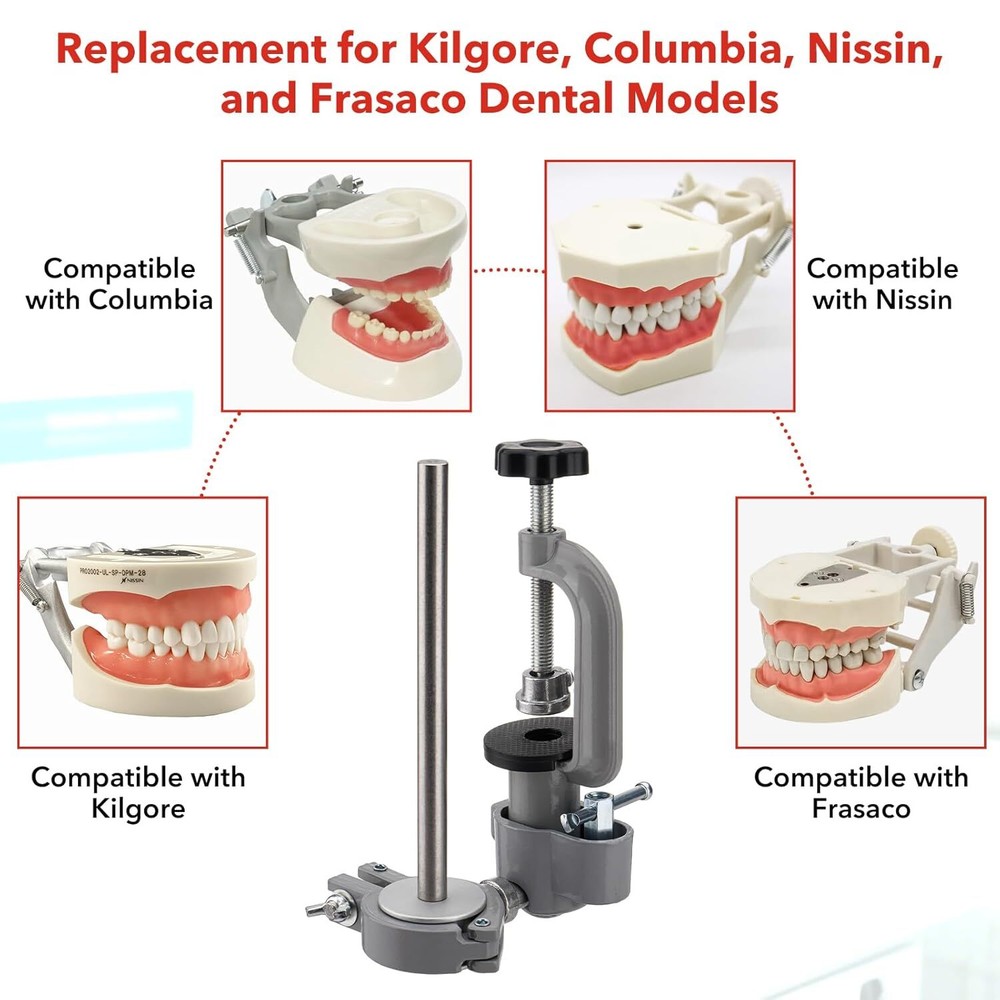 US Dental Typodont Mounting Pole & 32 Removable Teeth Model Set - 360° Rotating