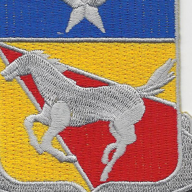 221st Cavalry Regiment Patch