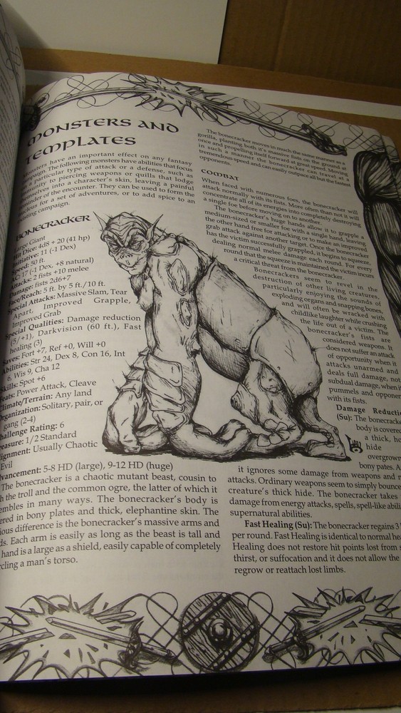 TORN ASUNDER CRITICLE HITS *NICE COPY* DUNGEONS DRAGONS