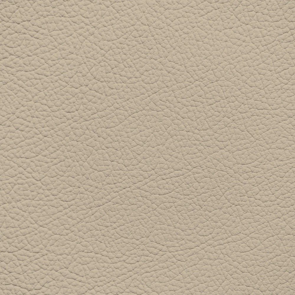 Audi Cardamom Beige Leather Dye