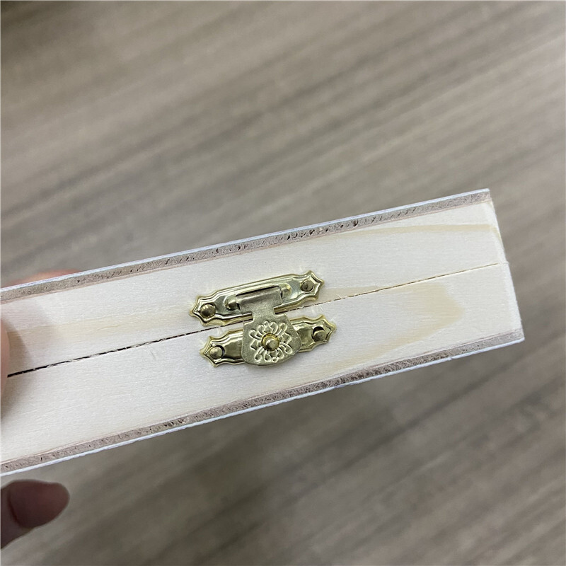 Microscope Slide Storage Wooden Box Specimen Holding Storage Case with Lock