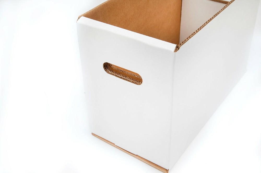 GEMINI Thick-Grip Short Comic Storage Box with Lid (glue-free)