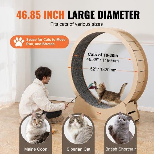Wooden Cat Exercise Wheel 52 Large Cat Treadmill Wheel for Indoor Cats