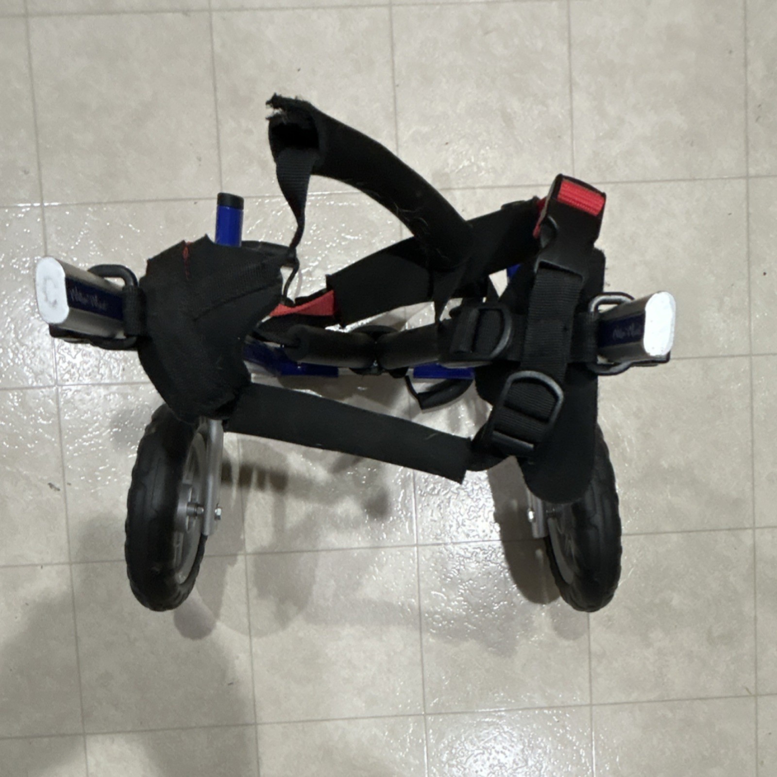 Walkin' Wheels Dog Wheelchair Blue Mobility Aid