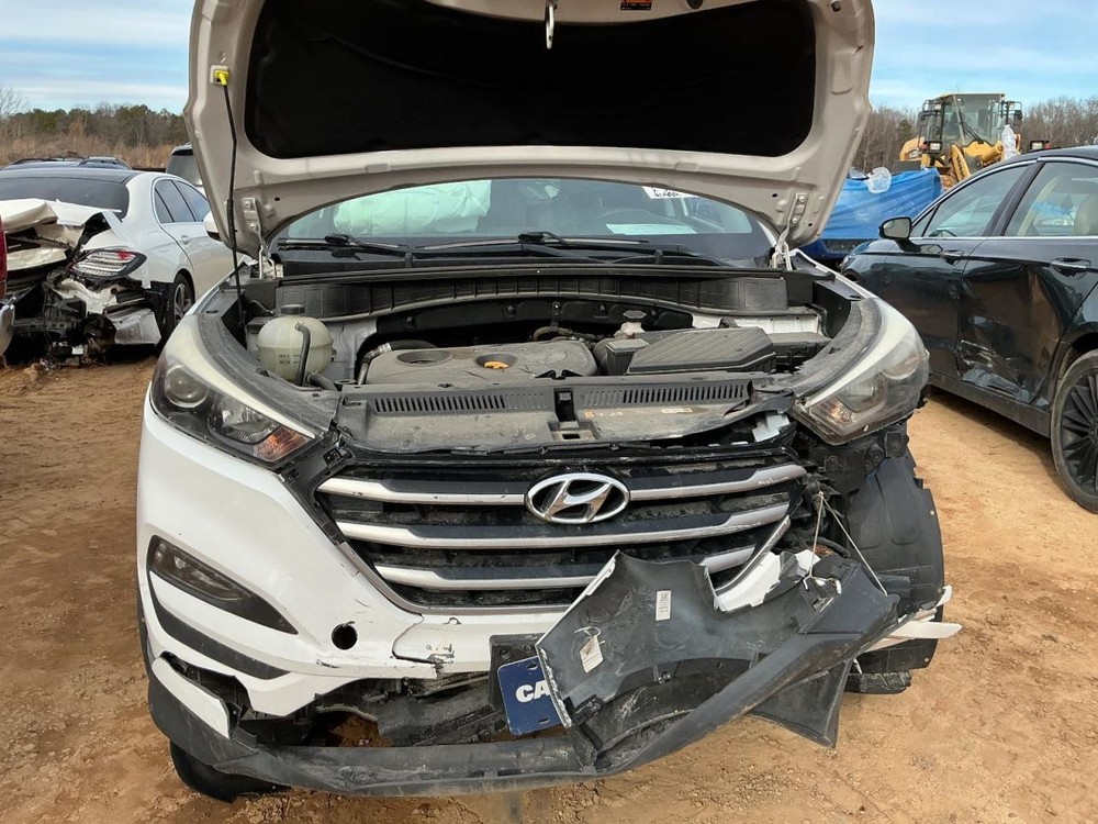 TUCSON 2017 Glove Box 4965513