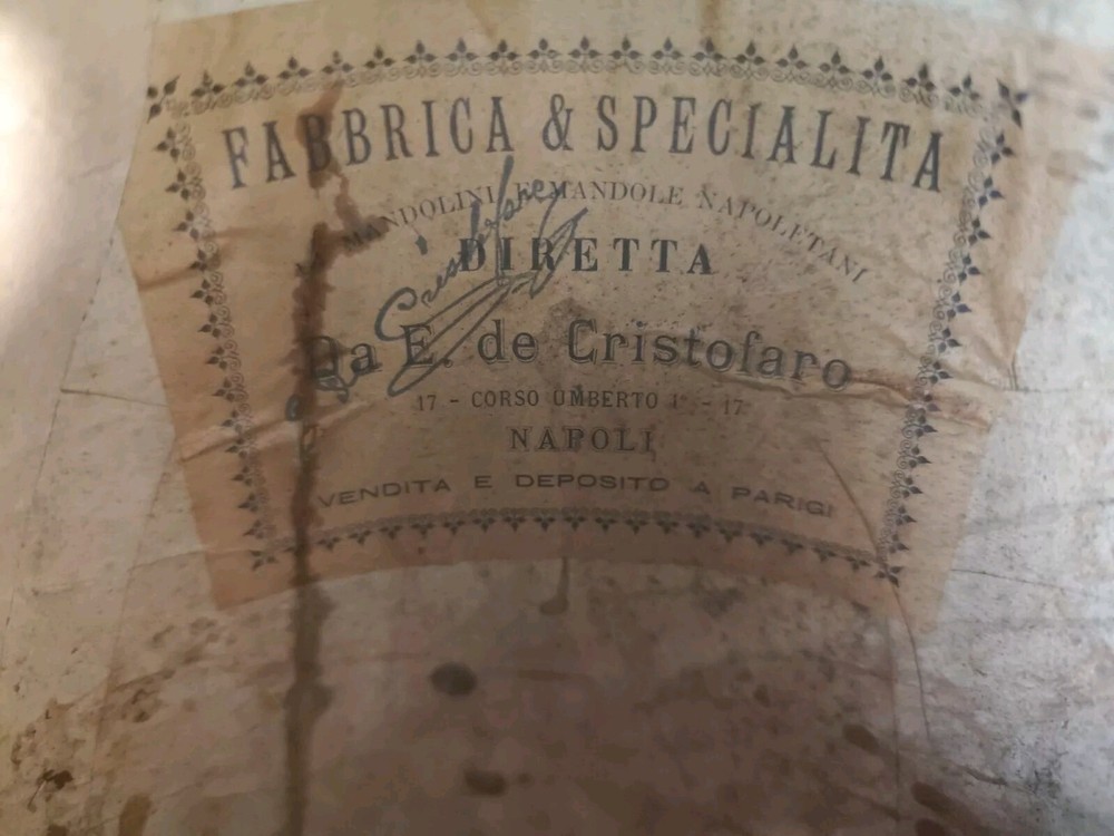 Mandolin 4/4 E. De Cristofaro 1901 Naples 曼陀林 만돌린マンドリン