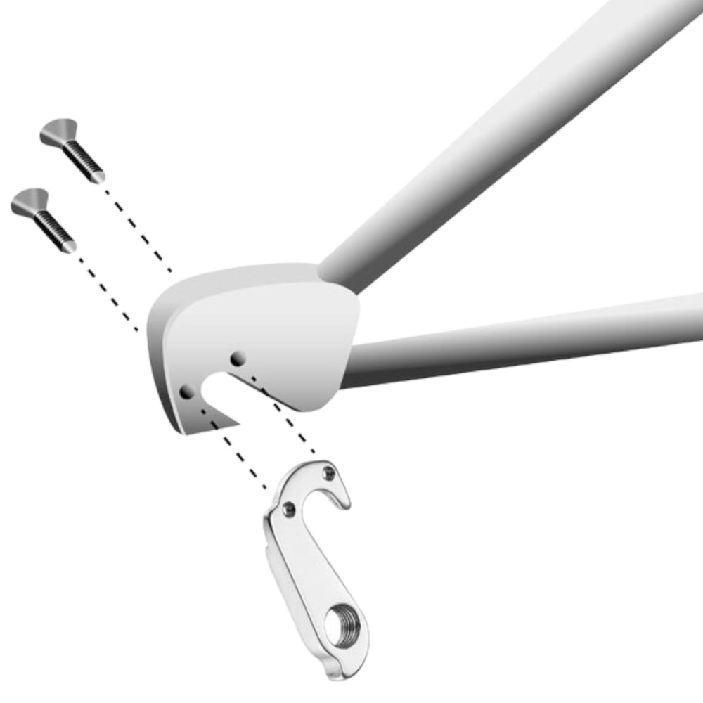 Derailleur Hanger 163