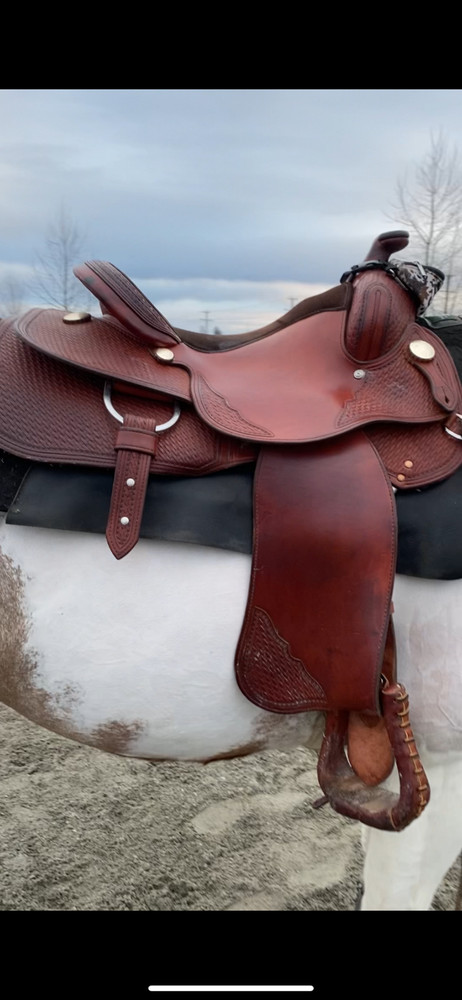 Experience Leather reining saddle