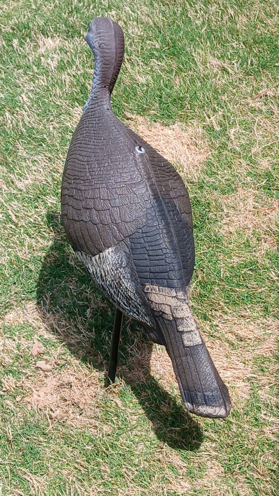 Flambeau (2) + Feather Flex (1) Turkey Decoys