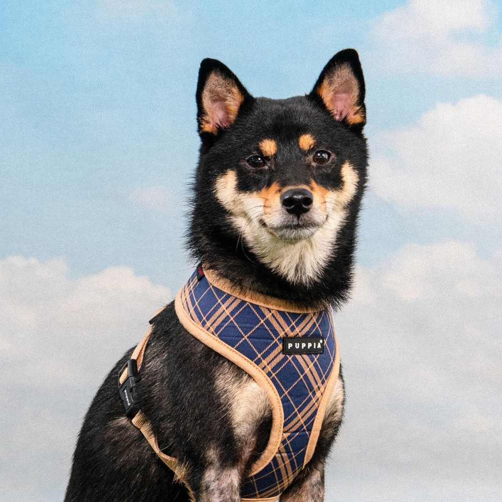 Corwin Dog Harness A (Over-The-Head) Fashionable Checkered Pattern Spring Sum...