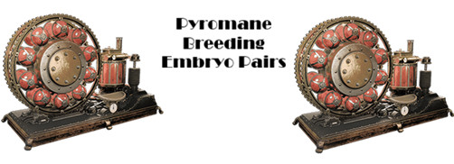 Ark ASA Xbox/PC/PS5 PVE Solid 2 Pyromane baby Breeding Pair Level 361