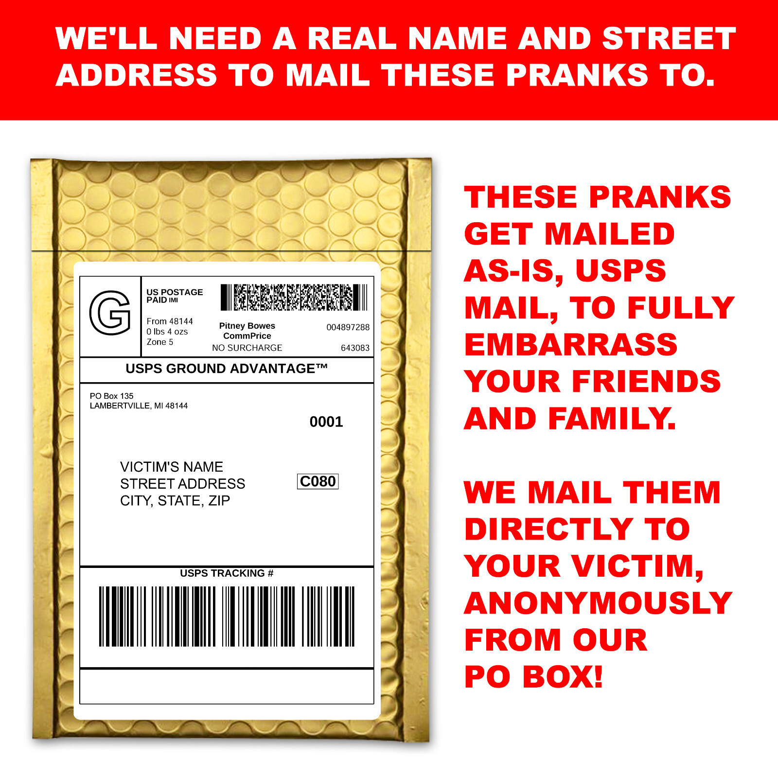 LOL Gay Cruise Prank Mail Gag Practical Joke Sent Directly to Friends