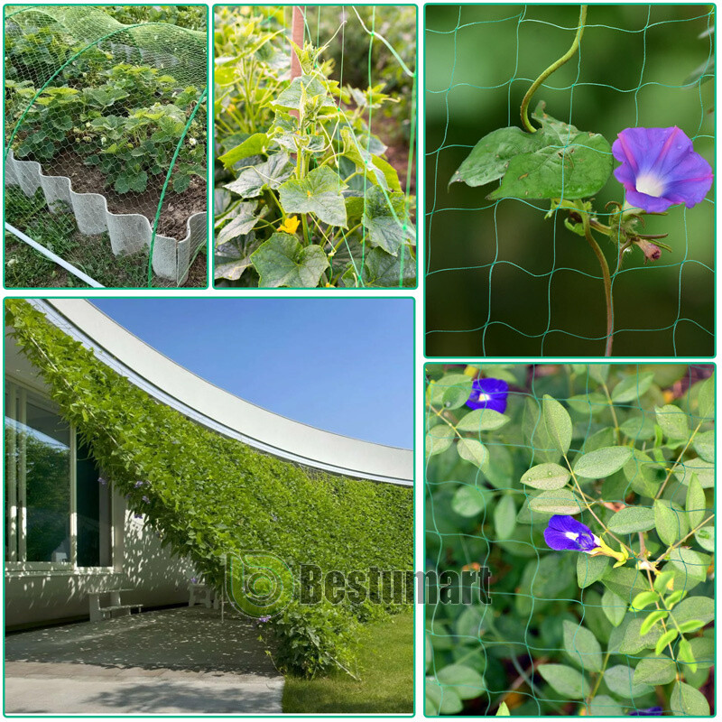 Garden Plant Climbing Net Trellis Netting Mesh Support Fruits Vine Veggie Bean