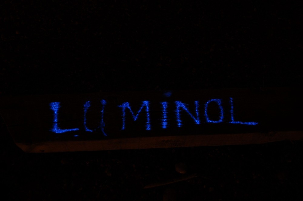 Luminol Powder, 1g