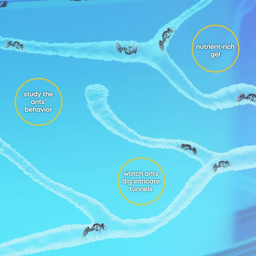 Interactive LED Ant Habitat for Children