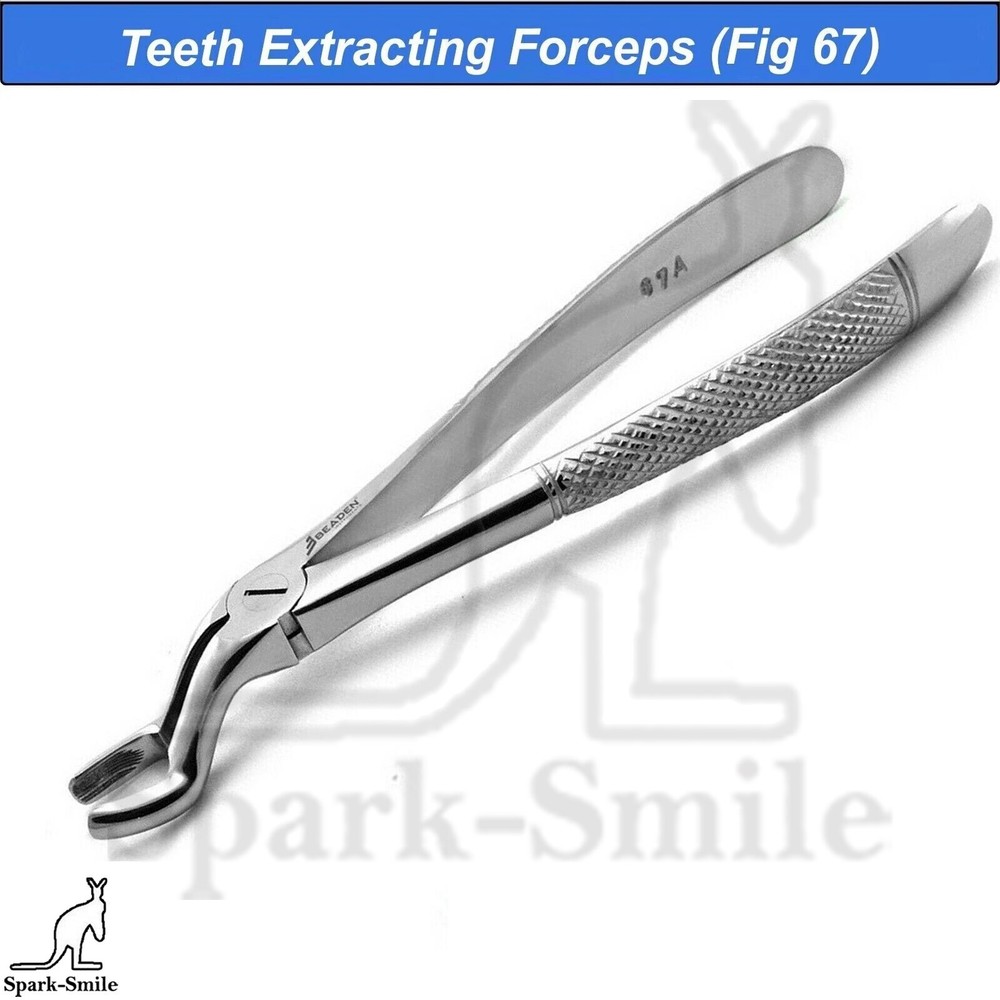 Dentistry Tooth Extraction Forceps Fig. 67 A Surgical Instruments Dental Forceps