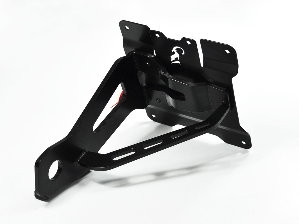 ZIEGER Side License Plate Holder Compatible with Harley Davidson Dyna Models