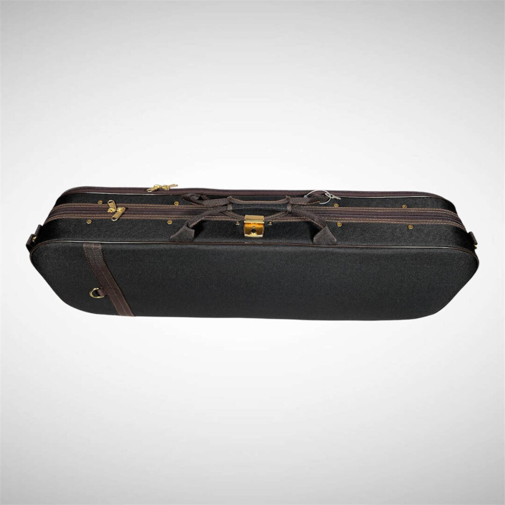 Petz 100VN case (case) for violin (violin)