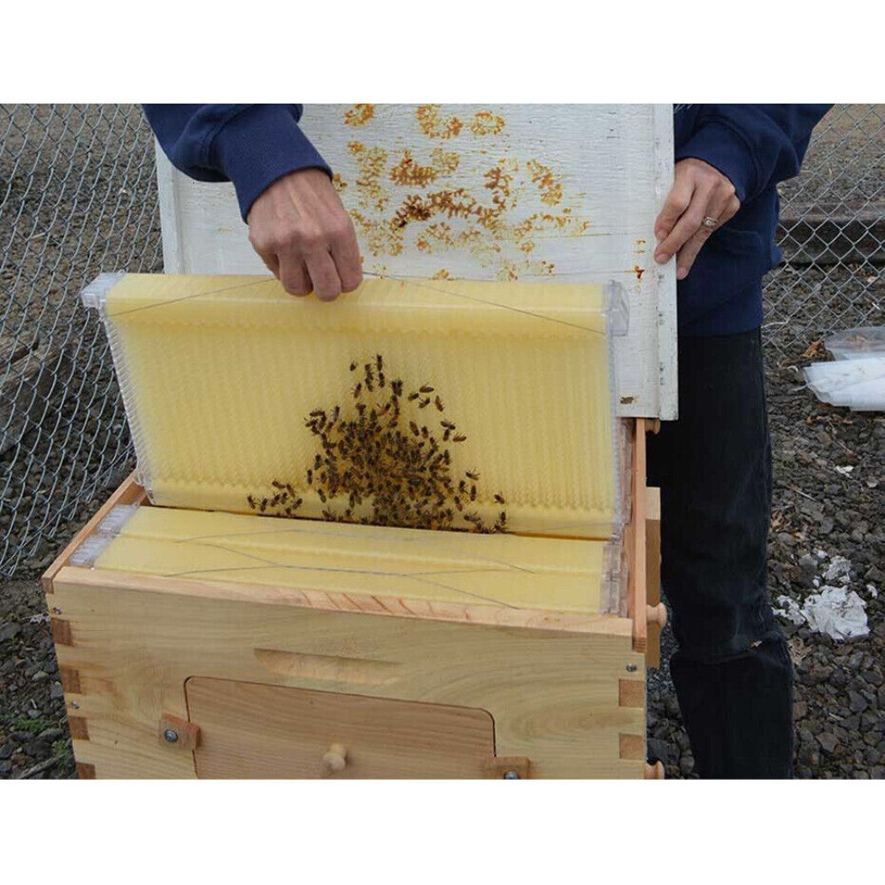 7 x Auto Beehive Frames Bee Hive + Beekeeping Hive Cedarwood Brood Box Super Box